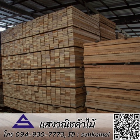 ร้านขายไม้แพรกษา สมุทรปราการ